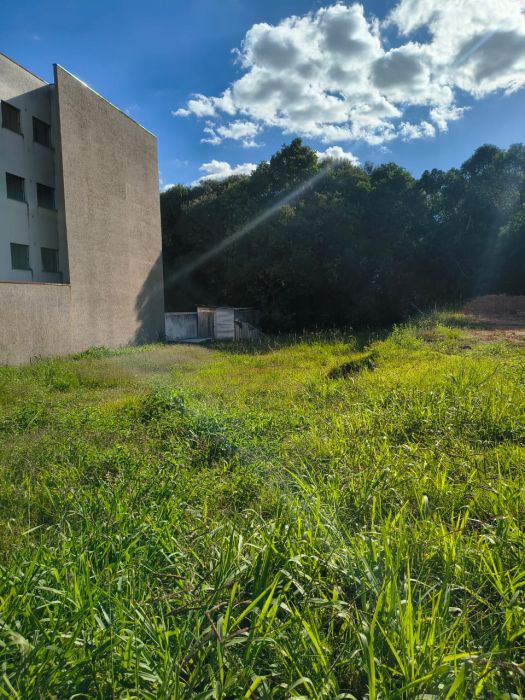 Terreno - Venda - Passa Tr�s - Rio Negro - PR