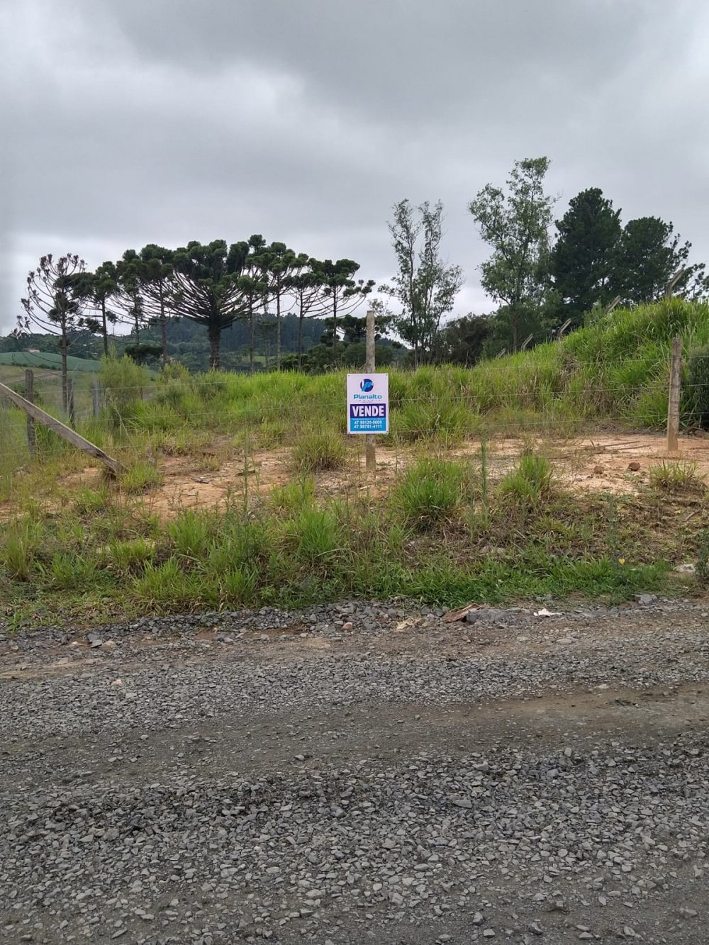Lote - Venda - Vila Nova - Mafra - SC