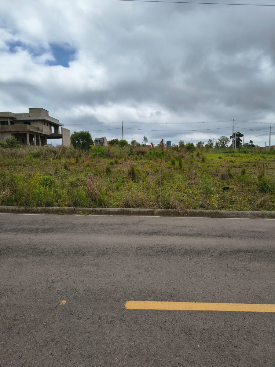 Terreno - Venda - Jardim América - Mafra - SC