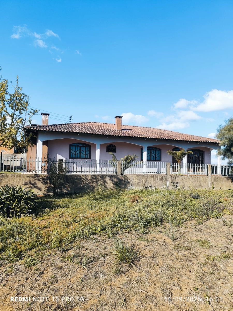 Rural - Venda - rea Rural de Mafra - Mafra - SC