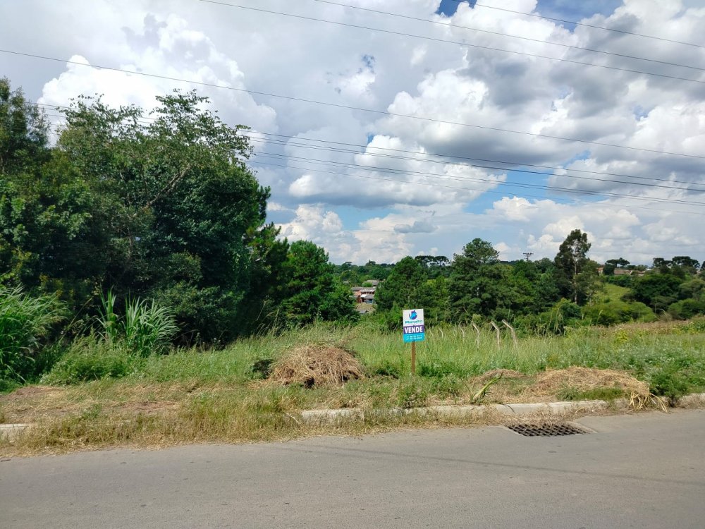 Terreno - Venda - Vila Nova - Mafra - SC