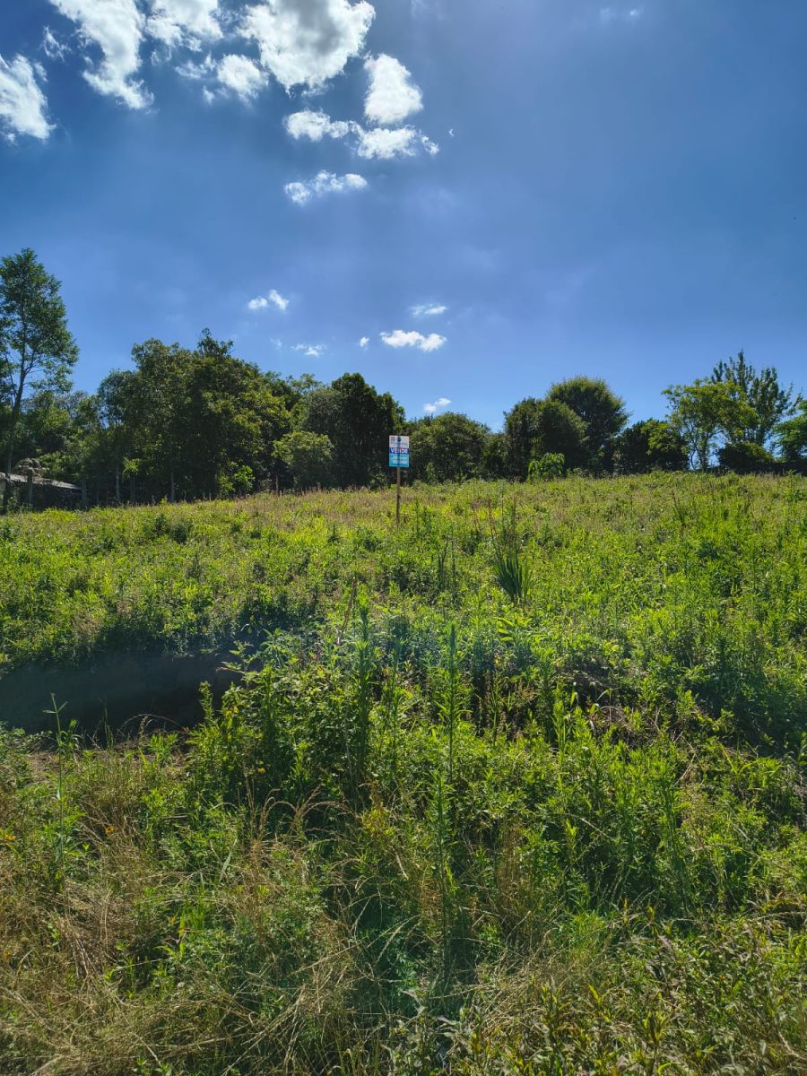 Terreno - Venda - Vila Ivete - Mafra - SC