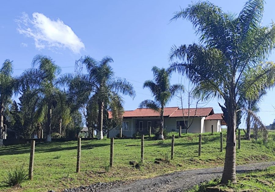 Chácara - Aluguel - Distrito de Bela Vista do Sul - Mafra - SC