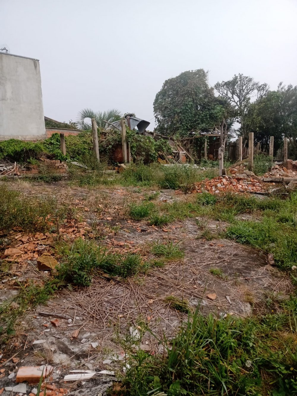 Terreno - Venda - Bom Jesus - Rio Negro - PR
