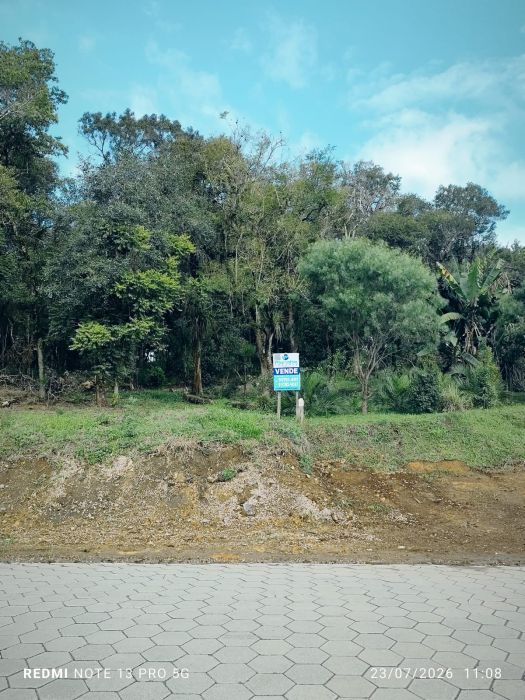 Terreno - Venda - S�tio dos Rauen - Rio Negro - PR