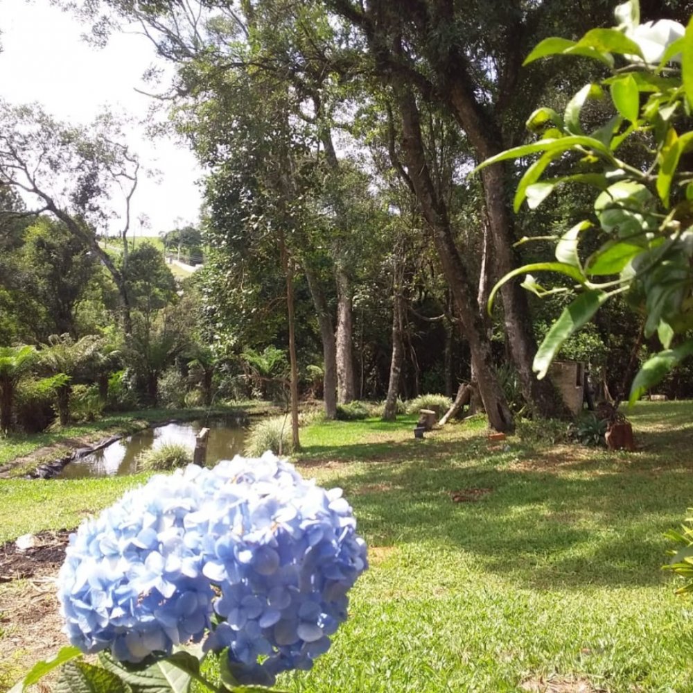 Terreno - Venda - Alto - Rio Negro - PR
