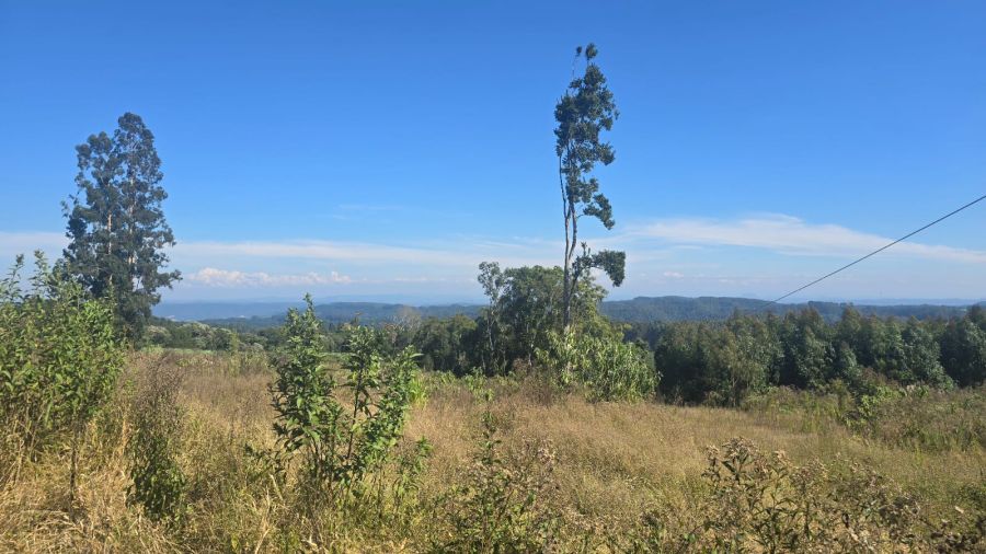 Terreno - Venda - Bom Sucesso - Itai�polis - SC