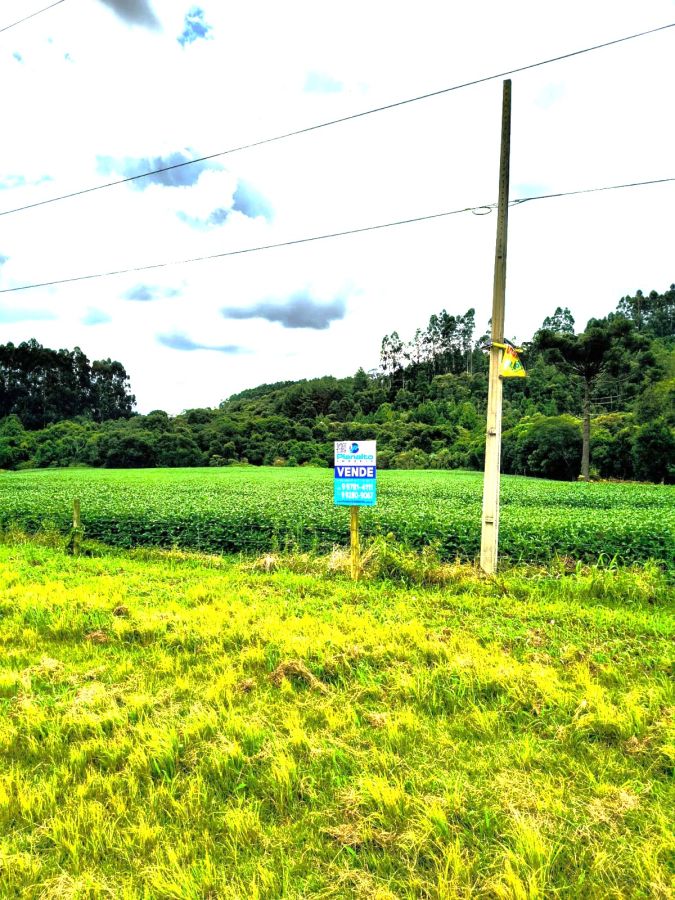 Terreno - Venda - Rio da Estiva - Itai�polis - SC