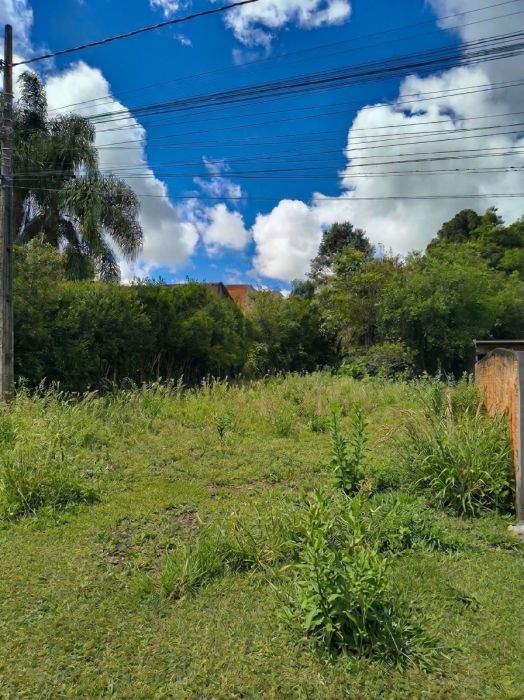 Terreno - Venda - Vila Nova - Mafra - SC