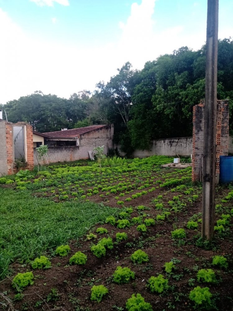 Terreno - Venda - Vila Ivete - Mafra - SC