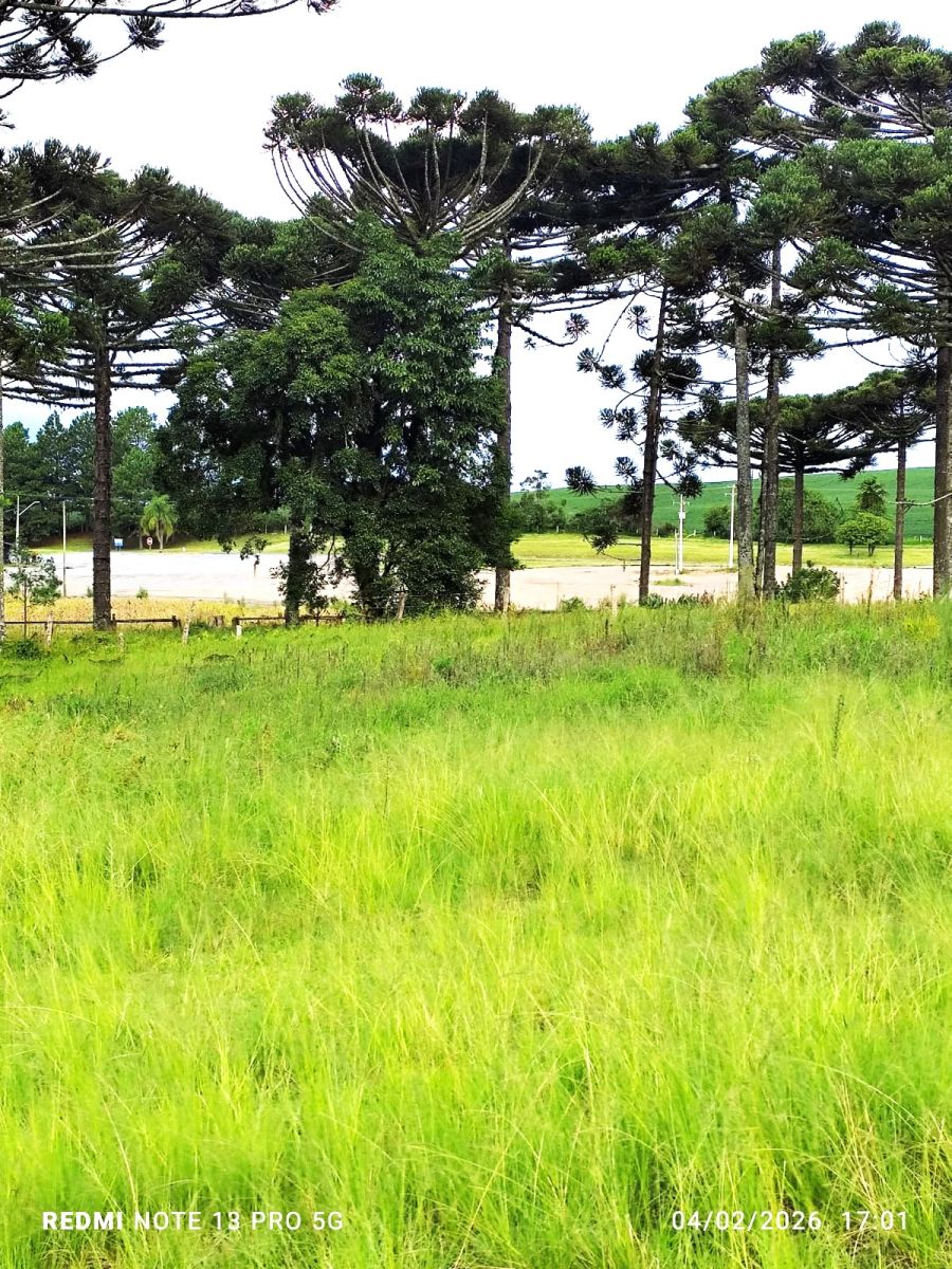 Ch�cara - Venda - Parque Industrial - Campo do Tenente - PR