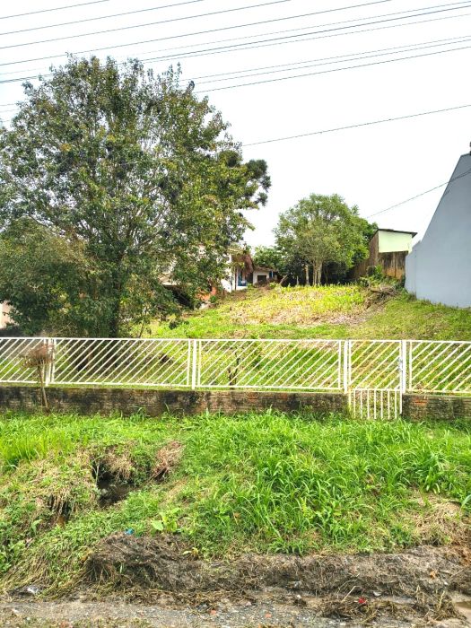Terreno - Venda - Vila Ferrovi�ria - Mafra - SC