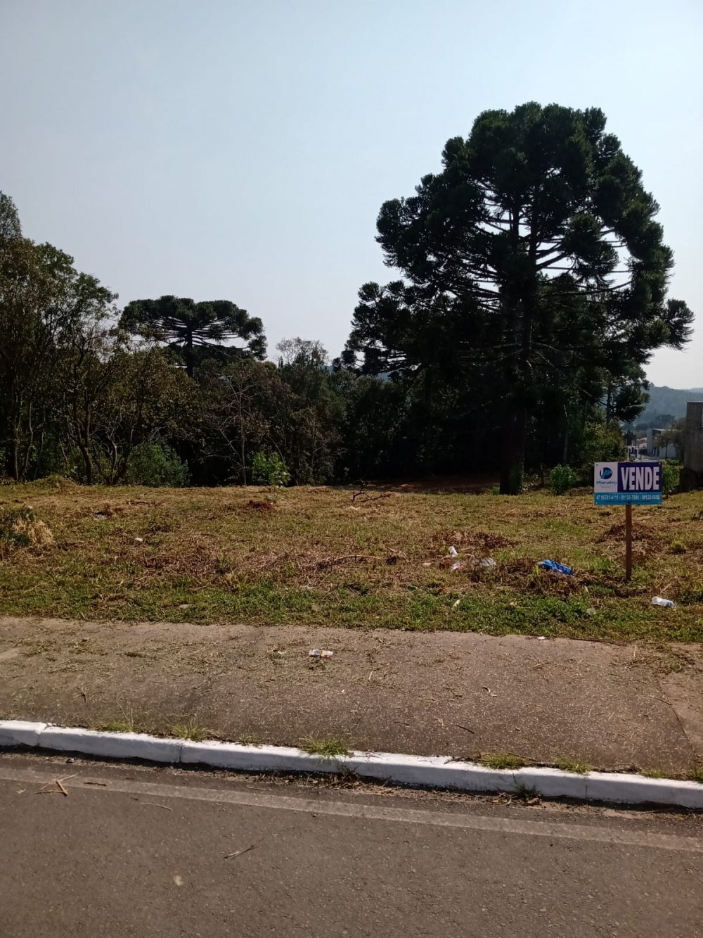Terreno - Venda - Campo do Gado - Rio Negro - PR
