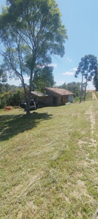 Chácara - Venda - Área Rural de Mafra - Mafra - SC