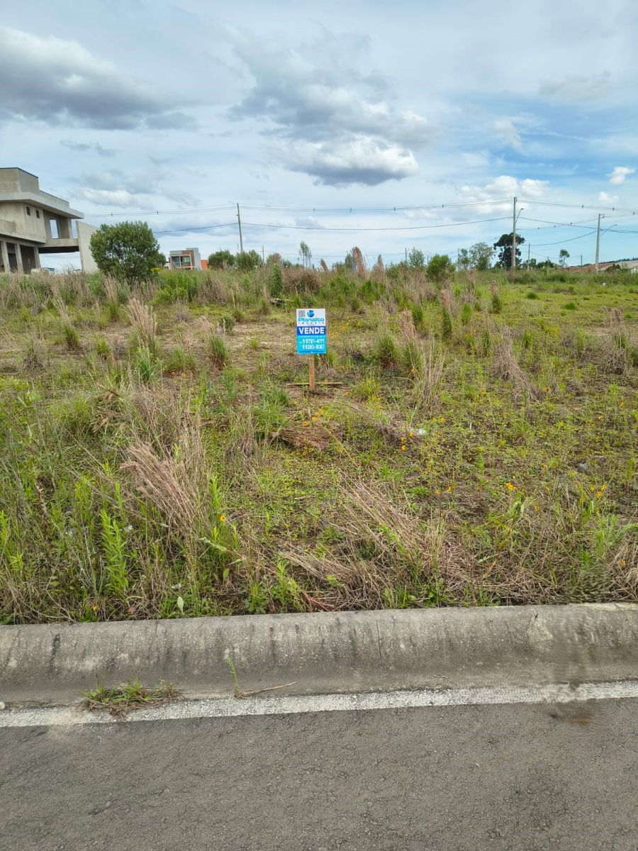 Terreno - Venda - Jardim Am�rica - Mafra - SC