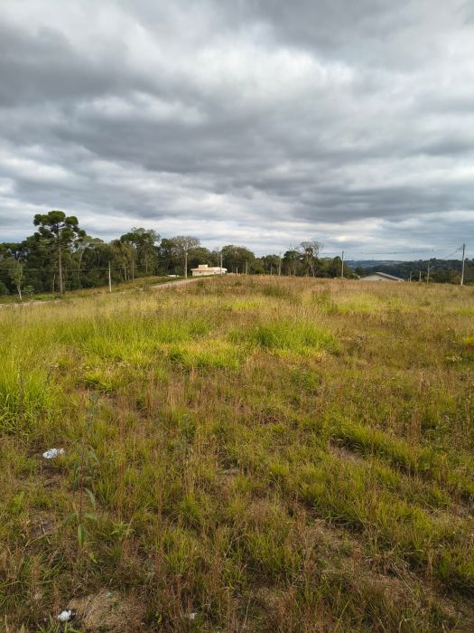 Terreno - Venda - Passa Três - Rio Negro - PR